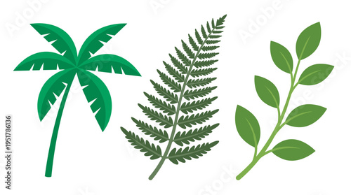 Leafy plant branches, fern leaves on a stalk, palm tree foliage, and exotic tropical vegetation are depicted in a flat vector illustration set against a white background