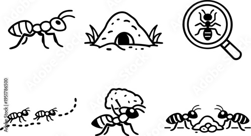 Ant colony behavior teamwork nature line icons. Vector