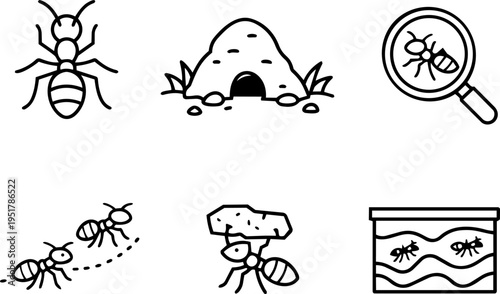 Ant colony behavior teamwork nature line icons
