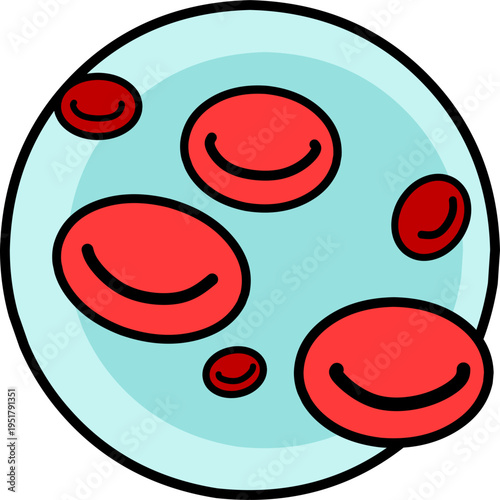 Microscopic view of red blood cells group