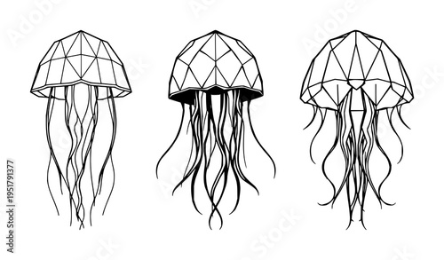 Geometric jellyfish set with symmetrical line art design featuring marine life, deep sea biology, modern polygonal style with ocean inhabitants and abstract sea creatures