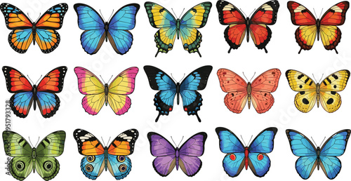 Colorful butterfly collection with different species wings patterns isolated nature insect set detailed vector illustration