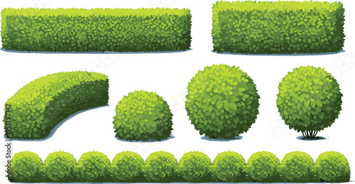 Green garden hedge bushes collection landscaping shrubs and decorative plants vector illustration set