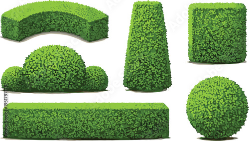 Garden hedge bushes set trimmed decorative shrubs landscaping greenery plants vector illustration collection