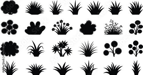 Black and white of various mushrooms and toadstools isolated on white background fungi kingdom