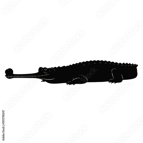 Gharial Silhouette: A striking black silhouette of a gharial, showcasing its distinctive long, slender snout and unique form, conveying a sense of intrigue.
