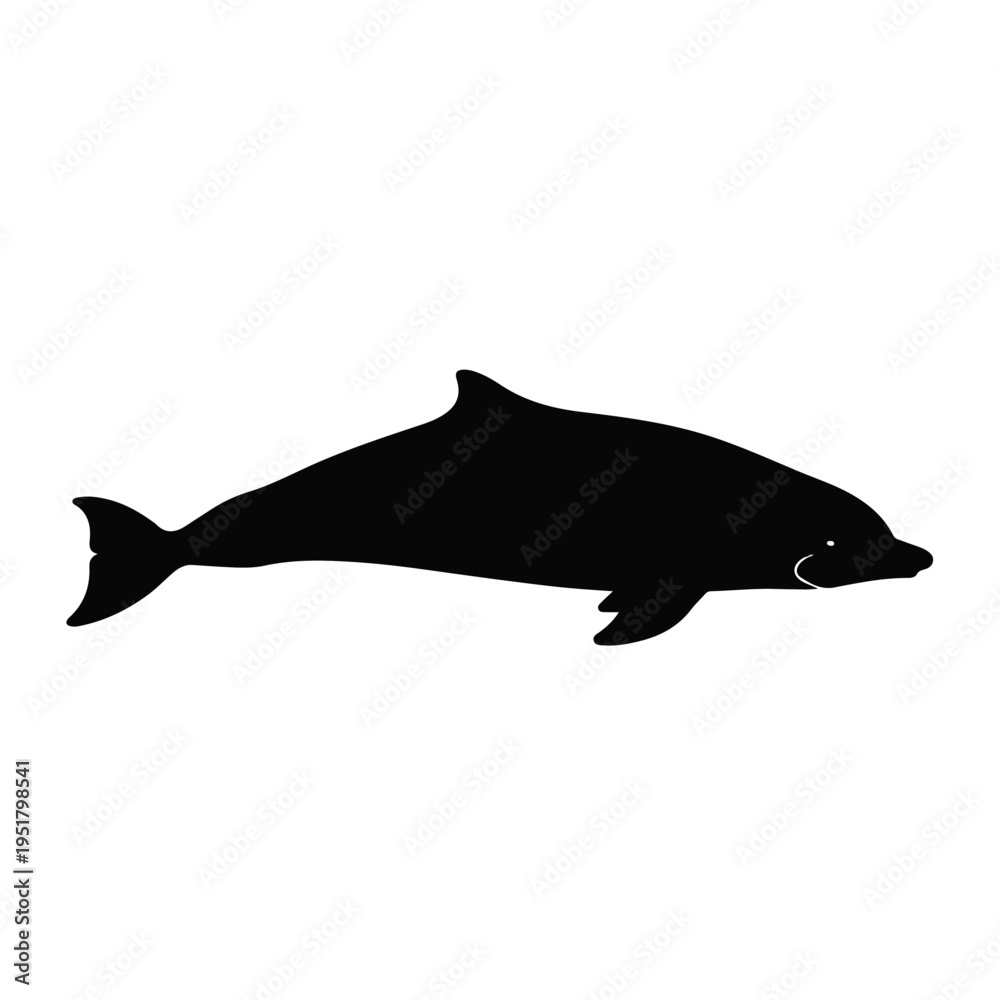 Fototapeta premium Dolphin Silhouette vector