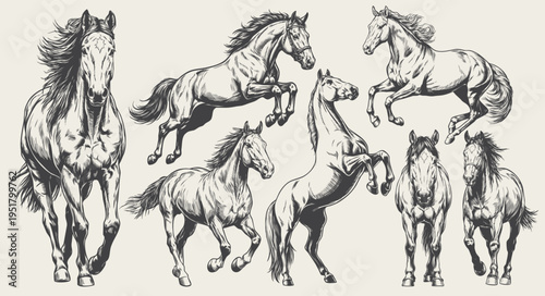 Hand drawn horses in dynamic running and jumping poses illustrated in detailed vintage engraving line art. Suitable for equestrian themes, animal design, sports graphics, and farm-related projects.