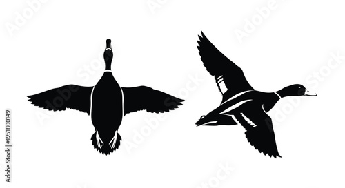 Two mallard ducks in flight detailed black shapes artistic silhouette