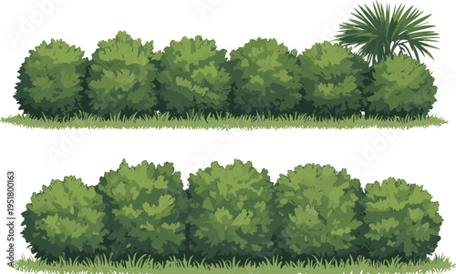 Lush green hedge with palm tree and topiary shrubs in garden setting