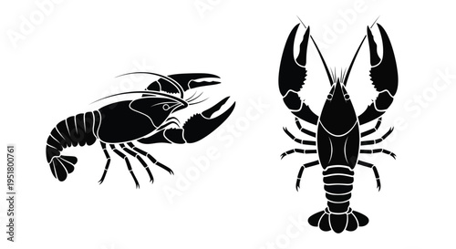 Two detailed lobster illustrations presented as a striking black silhouette