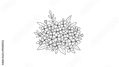 Elegant monochrome line art illustration of a delicate bouquet of forget-me-not flowers with lush leaves, perfect for minimalist botanical designs.