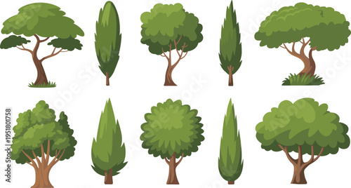 Vibrant green leafy vegetable with stems on white background leafy vegetables broccoli kale spinach