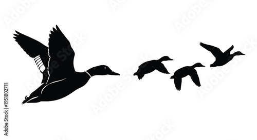 A flock of ducks in flight captured as a striking silhouette