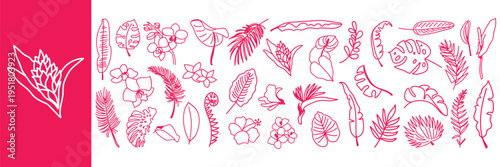 Tropical Leaves and Flowers Vector Set. Hand Drawn Palm, Monstera, Orchid, Hibiscus and Jungle Foliage Line Art Collection. Exotic Botanical Sketches.
