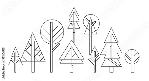 a group of trees with leaves.