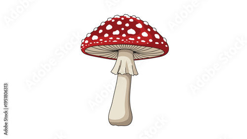 Detailed illustration of a vibrant red and white spotted fly agaric mushroom, featuring a distinct cap and stem, against a white background.