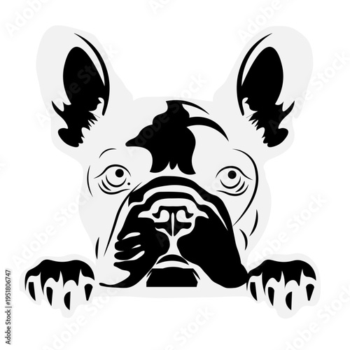French Bulldog decal, peeking ,  minimalist illustration, Frenchie, vinyl decal