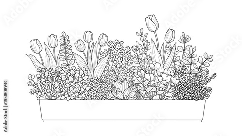 Detailed line art illustration of a long planter box overflowing with various spring flowers and lush foliage, perfect for gardening themes.