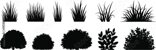 Black and white of various types of palm trees in different styles tropical leaf