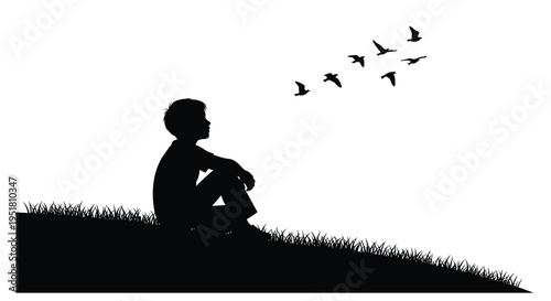 A silhouette of a boy sitting in grass looking at flying birds above