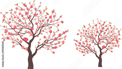 Blossoming cherry tree silhouettes against soft pastel background blossoms pink flowers white flowers
