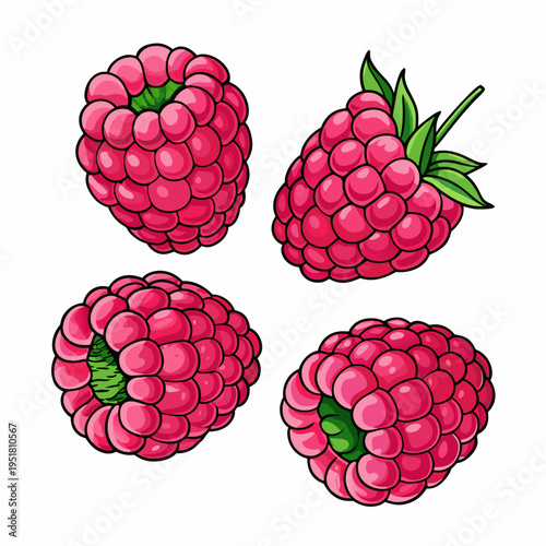 Four vibrant raspberries with green leaves a colorful cartoon illustration