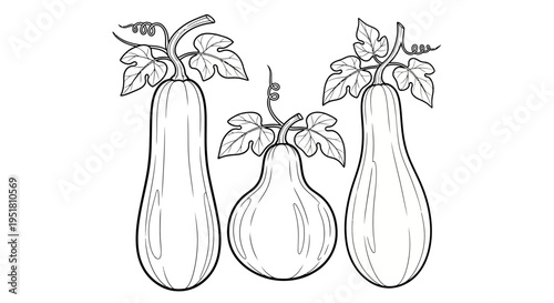 Three eggplants with leaves