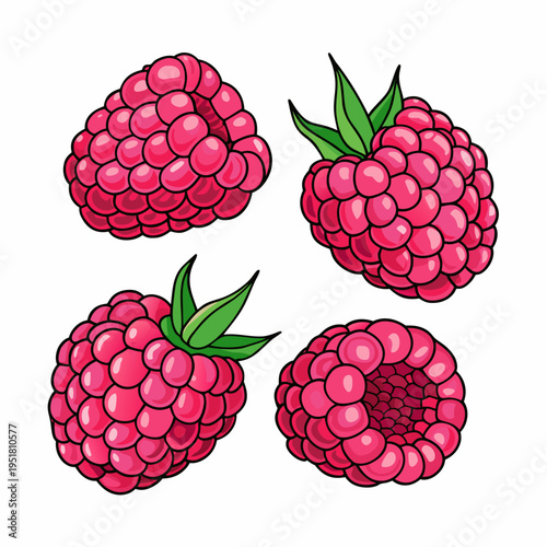 Four vibrant raspberries with green leaves a colorful cartoon illustration