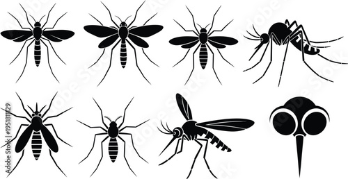 Mosquito silhouettes flying and resting poses. 