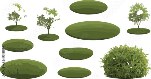 Green leafy vegetables and herbs in various shapes and sizes on white background leafy greens spinach