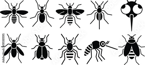 Mosquito silhouettes flying and resting poses. 