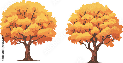 Vibrant autumn maple trees with fiery orange and yellow foliage against clear sky autumn foliage orange leaves