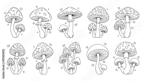 Extensive set of various hand-drawn spotted mushrooms, showcasing different shapes and clusters, rendered in intricate black and white line art.
