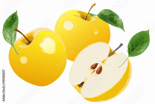 Golden delicious apples whole halved and with leaves vibrant illustration