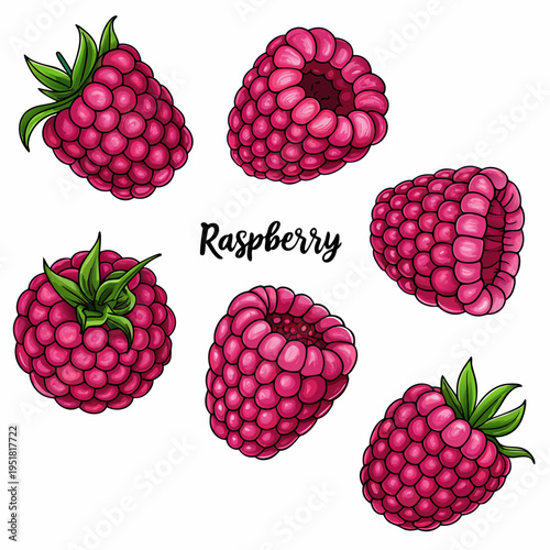 Detailed illustration of fresh raspberries with green leaves and text