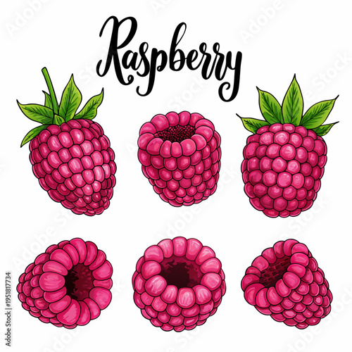 Watercolor illustration of fresh raspberries with leaves and detailed textures
