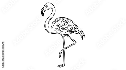 Flamingo standing on one leg profile.