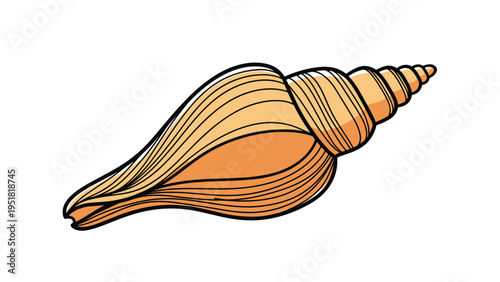 Spiral seashell with detailed brown and tan ridges rests elegantly against a white backdrop showing natural marine geometry and beauty.