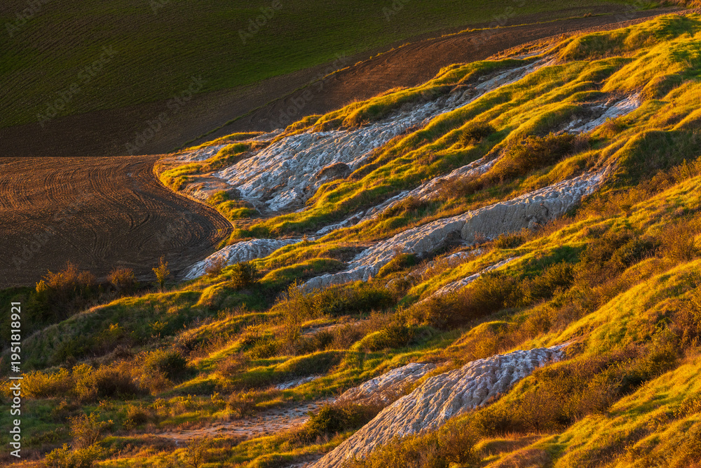 Naklejka premium Tuscan badlands landscape with sunset light in Asciano, Italy.