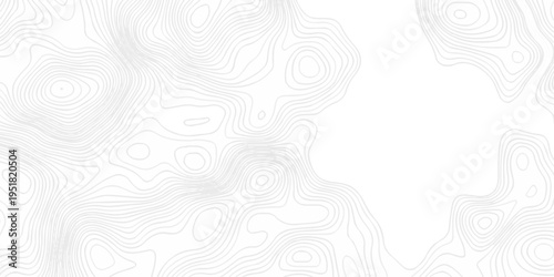 Topographic seamless map pattern with contour lines. Abstract geographic elevation design, lines sea map modern white background.