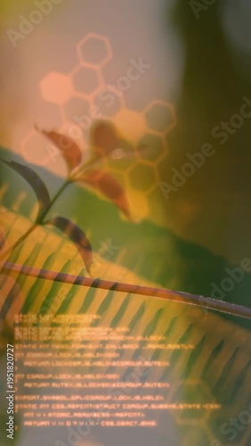 Vertical video: Lens moving focus, plant showing fern as hex bokeh drifting, code pulsing for tech