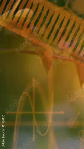 Vertical video: Camera revealing frond, twig sliding, sine-wave and hexagon overlay showing detail