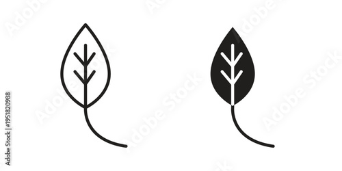 Leaf icon. Black and White Vector Illustrations. line icon vector pictogram