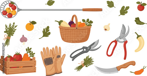 Harvesting Tools and Farm Produce Set with Fruit Picker, Pruners, Gloves, Basket, Tomatoes, Garlic, Peppers, and Vegetables Illustrations