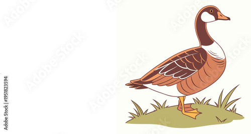 Cartoon illustration of a canada goose standing on green grass