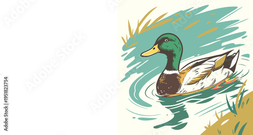 Illustration of a mallard duck swimming in a pond