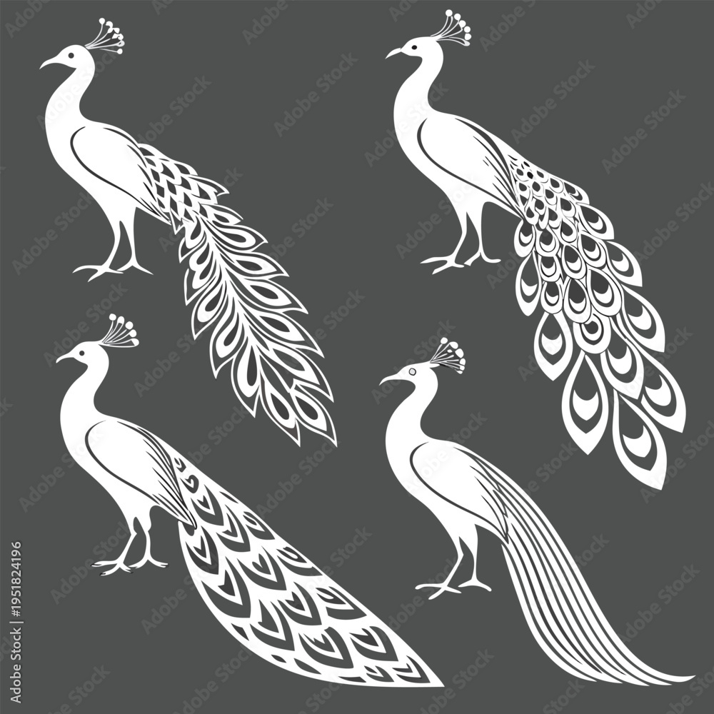 Fototapeta premium Set of four elegant peacock silhouettes in white on a dark background