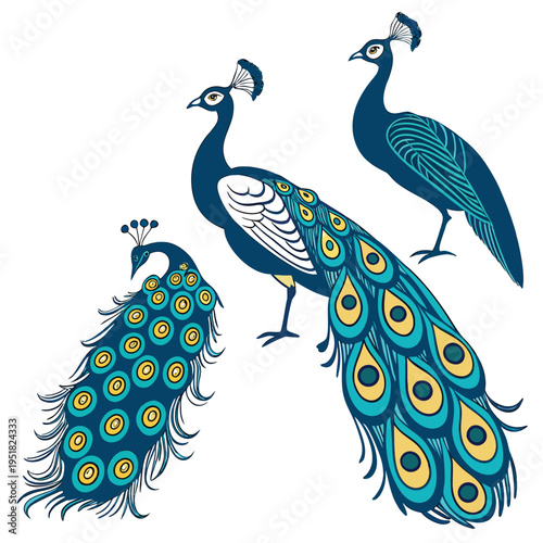 Set of beautiful peacock illustrations with vibrant blue and green plumage