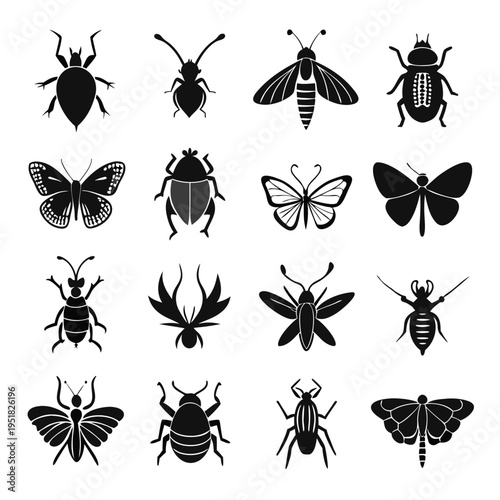 Diverse insect species silhouettes arranged symmetrically on white background